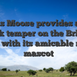 Vegas Moose provides a fun, book temper on the British world with its amicable moose mascot