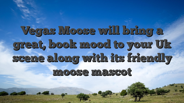 Vegas Moose will bring a great, book mood to your Uk scene along with its friendly moose mascot