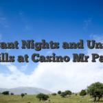 Vibrant Nights and Unseen Thrills at Casino Mr Pacho