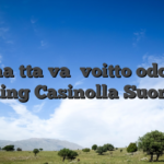 Viehättävä voitto odottaa Abuking Casinolla Suomessa