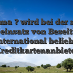 Visa ma�? wird bei der sache unter einsatz von Beseitigung ein international beliebteste Kreditkartenanbieter