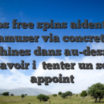 Vos free spins aident i� s’amuser via concretes machines dans au-dessous sans avoir i� tenter un soigne appoint