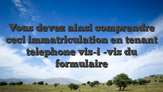 Vous devez ainsi comprendre ceci immatriculation en tenant telephone vis-i�-vis du formulaire