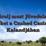 Vásárolj most Jövedelmező Érméket a Cashed Casino Hu Kalandjában