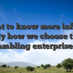 Want to know more info on exactly how we choose the top gambling enterprises?