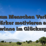 Warum Menschen Verluste stärker motivieren als Gewinne im Glücksspiel