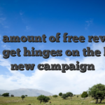 What amount of free revolves you’ll get hinges on the brand new campaign