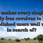 What makes every single day totally free revolves to have established users well worth in search of?