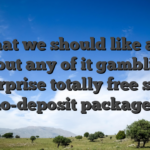 What we should like any about any of it gambling enterprise totally free spins no-deposit package?