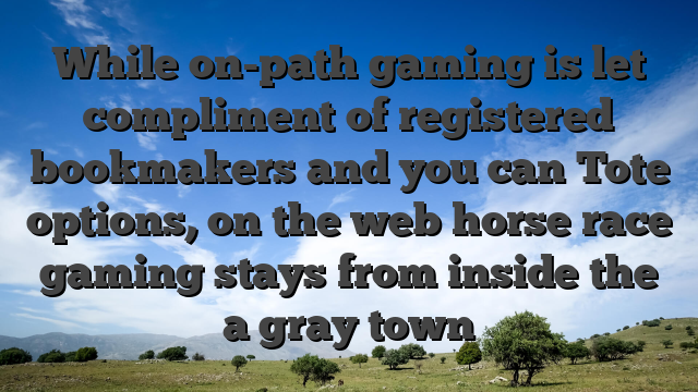 While on-path gaming is let compliment of registered bookmakers and you can Tote options, on the web horse race gaming stays from inside the a gray town