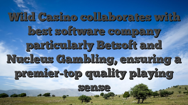 Wild Casino collaborates with best software company particularly Betsoft and Nucleus Gambling, ensuring a premier-top quality playing sense