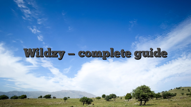 Wildzy — complete guide