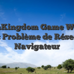 WinKingdom Game Won’t Load: Problème de Réseau ou Navigateur