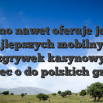 Wintino nawet oferuje jedna z najlepszych mobilnych rozgrywek kasynowych myslec o do polskich graczy
