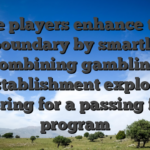 Wise players enhance their boundary by smartly combining gambling establishment explore wagering for a passing fancy program