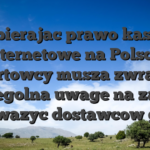 Wybierajac prawo kasyno internetowe na Polsce, sportowcy musza zwracac szczegolna uwage na zapisz rozwazyc dostawcow gier