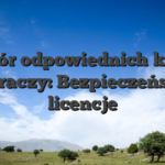 Wybór odpowiednich kasyn dla graczy: Bezpieczeństwo i licencje
