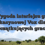 Wygoda interfejsu gry kasynowej Vox dla początkujących graczy
