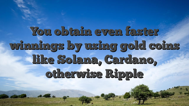 You obtain even faster winnings by using gold coins like Solana, Cardano, otherwise Ripple