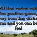 You will find varied variety of online position game, for every boasting distinct features and you can betting feel