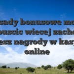 Zasady bonusowe moga wypuscic wiecej zachety i bedziesz nagrody w kasynach online