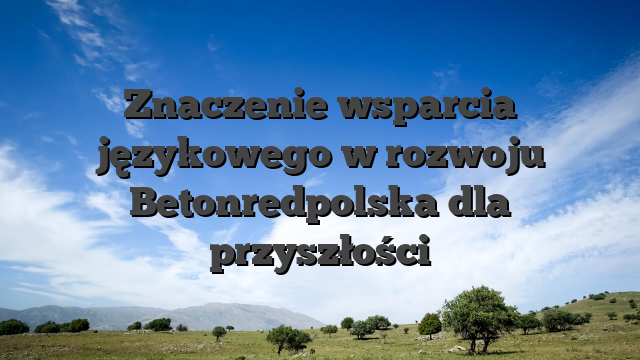 Znaczenie wsparcia językowego w rozwoju Betonredpolska dla przyszłości