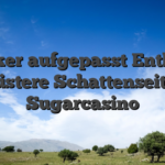 Zocker aufgepasst Enthüllt die düstere Schattenseite von Sugarcasino