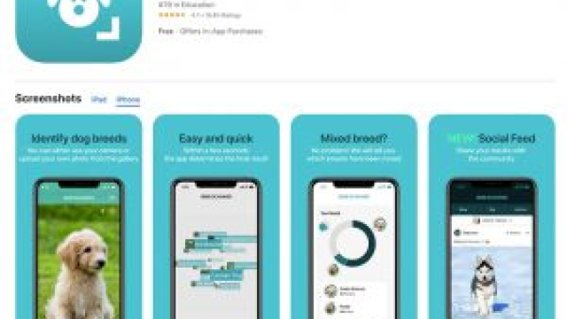 AI Detector Applications for Dog Breeds Available on Google Play