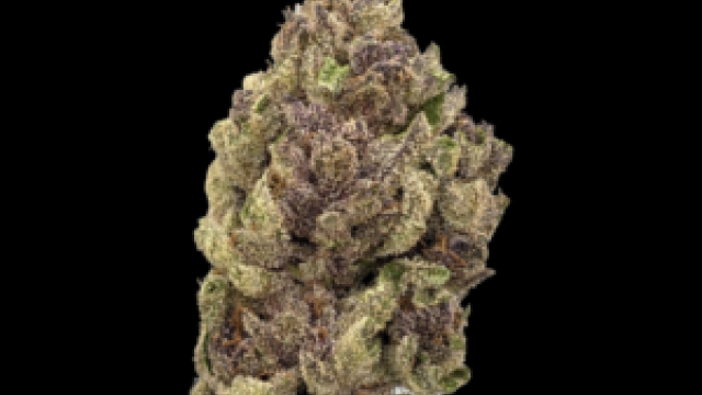 Buy Weed in Edinburgh Best Quality THC