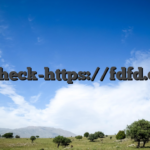 cw-check-https://fdfd.com/