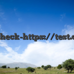 cw-check-https://test.com/