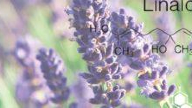 Daily Horoscope weed dispensaries online for Gemini