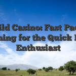 iWild Casino: Fast‑Paced Gaming for the Quick‑Play Enthusiast