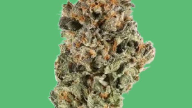 Purchase cannaburst gummies premium strains of THCa flower online from the USA.