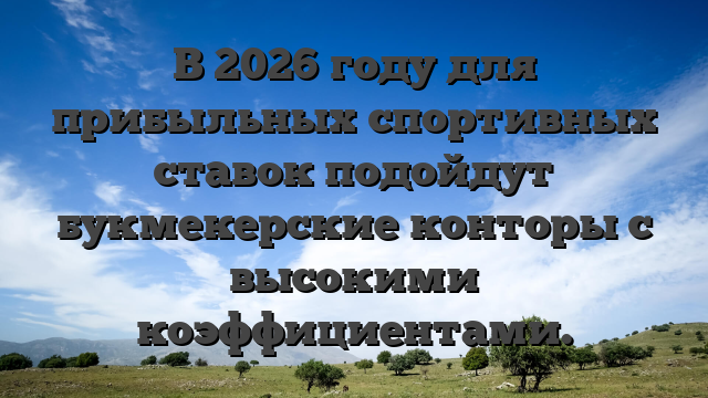 В 2026 году для прибыльных спортивных ставок подойдут букмекерские конторы с высокими коэффициентами.