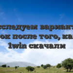Исследуем варианты ставок после того, как вы 1win скачали