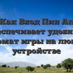Как Вход Пин Ап обеспечивает удобный формат игры на любом устройстве