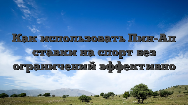 Как использовать Пин-Ап ставки на спорт без ограничений эффективно