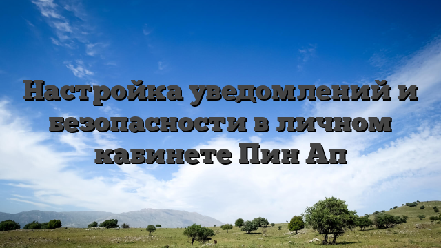 Настройка уведомлений и безопасности в личном кабинете Пин Ап