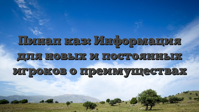 Пинап каз: Информация для новых и постоянных игроков о преимуществах
