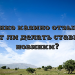 Пинко казино отзывы: стоит ли делать ставку на новинки?