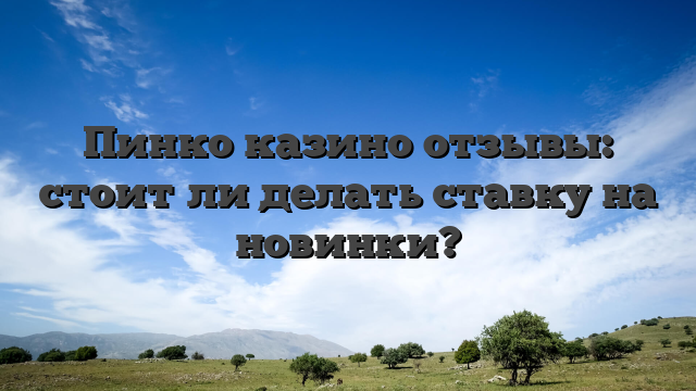 Пинко казино отзывы: стоит ли делать ставку на новинки?