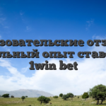 Пользовательские отзывы: Реальный опыт ставок в 1win bet