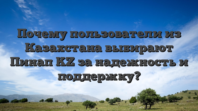 Почему пользователи из Казахстана выбирают Пинап KZ за надежность и поддержку?