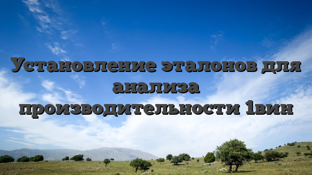 Установление эталонов для анализа производительности 1вин