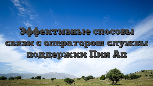 Эффективные способы связи с оператором службы поддержки Пин Ап
