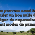 ,   me pouvons aussi bien assimiler un bon salle de jeu en ligne du expression en tenant modes de paiement