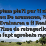 Acceptam pla?i pur ?i simplu la Leu De asemenea, ?i, de cand Evaluarea a fi Realizare, O mul?ime de retragerilor este de fapt aprobate rapid
