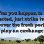 After you happen to be connected, just strike twist to maneuver the fresh ports and play an exchange