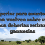 Al superior para asuntos una tema vuelven sobre cual nunca deberias retirar las ganancias